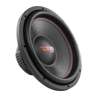 SLC12S big