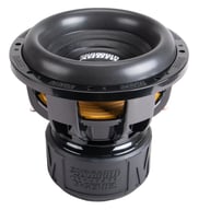 SW-M12D1 big