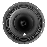 PNX6 big