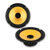 DMDX8 big